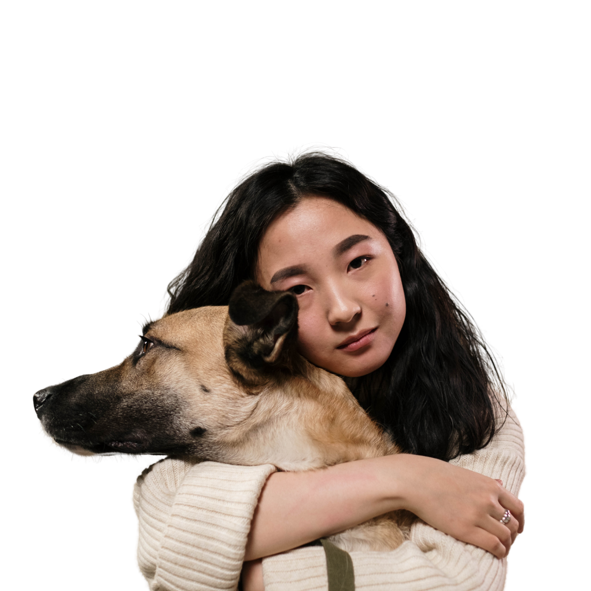 Pessoa interagindo com pet